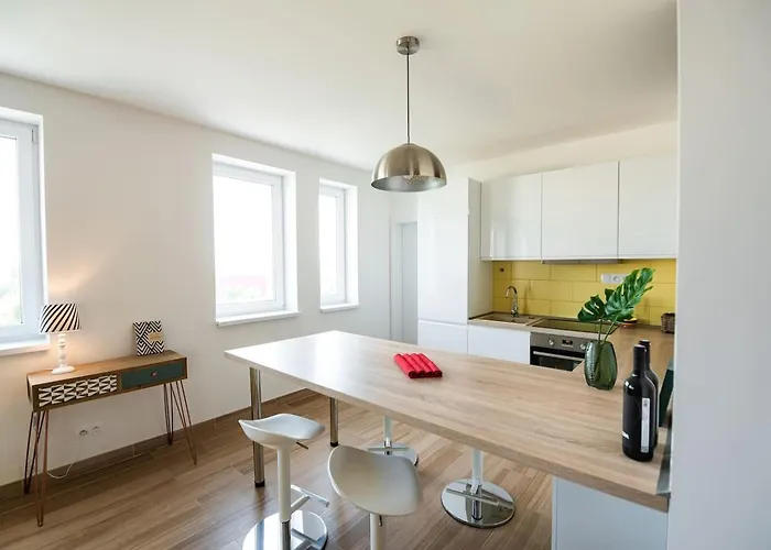 Private 5 Star 3 Flat And In-door Pkg Appartement Nitra
